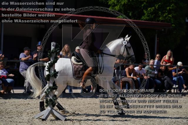 s_K3F03695.JPG